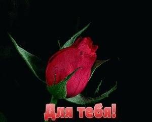 Для тебя