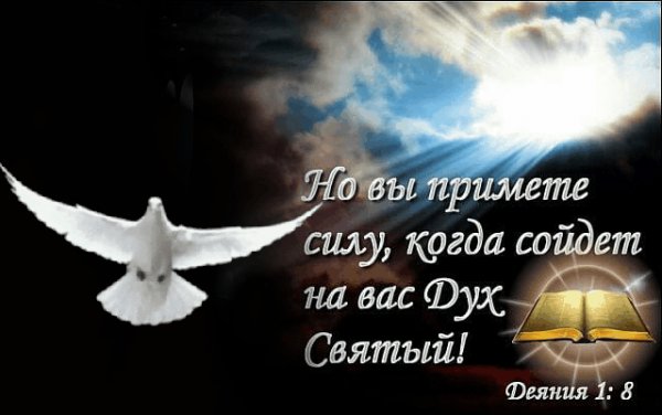 ДС