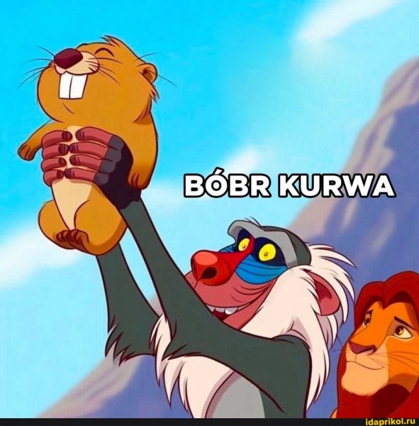 4c2aa0b70fa29d17a2ed0436da2e5b9db1446c08d9407 1