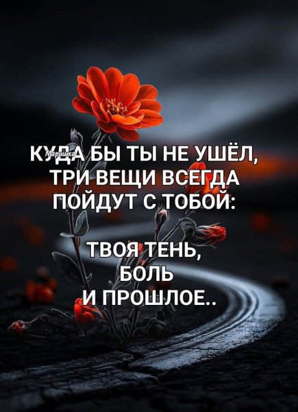 FB IMG 1773782403057