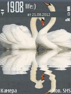 swan 482716