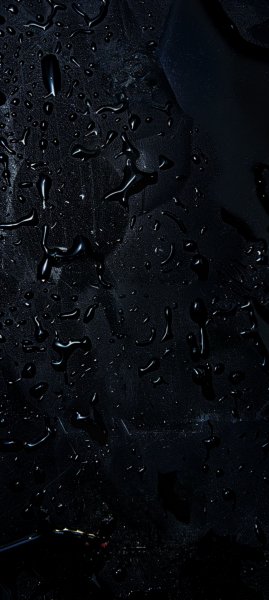 adapted 1080x2408 1770389393