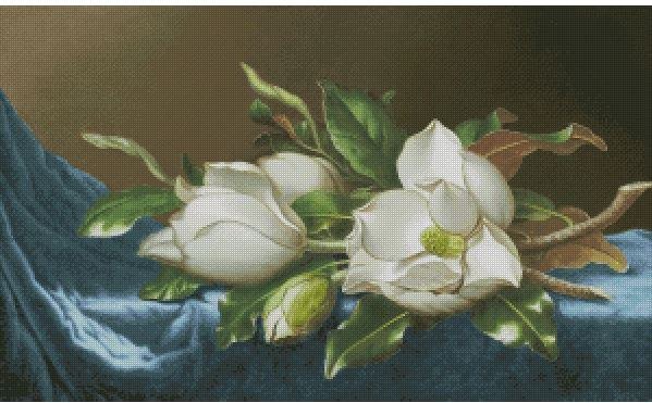 EstE 066 Magnolia na golubom (1)