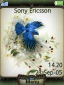 bluebirdtaghy