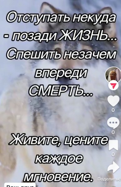 IMG 20250221 205114