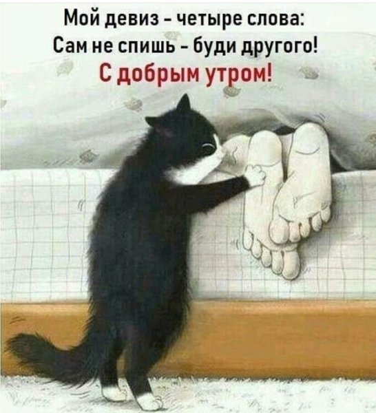 Мой девиз 4 слова, сам не спишь буди другого С добрым утром!