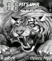 Tigr