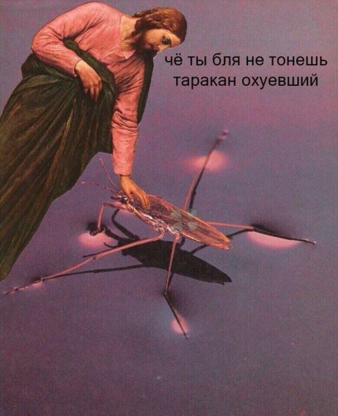 Потому что физика+ещё надо конфеты на кладбище пособирать