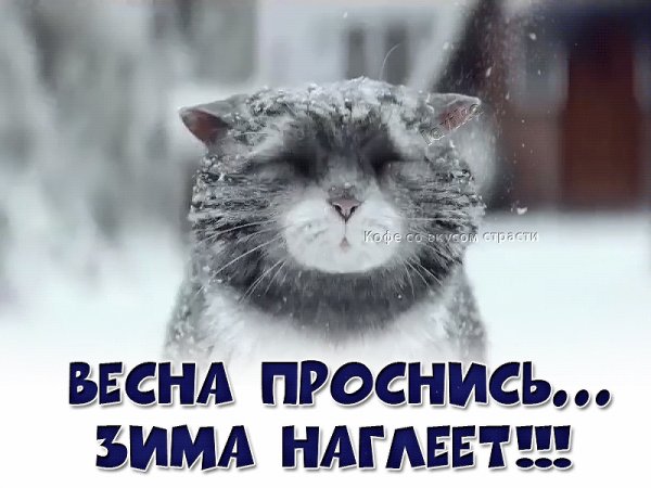 file_72654277