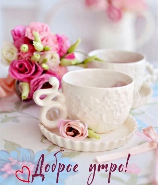 IMG 20260214 114033 351