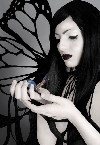 Dark butterfly