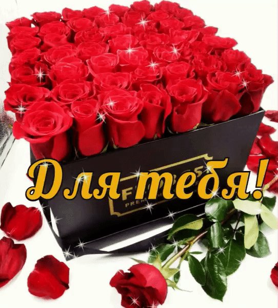 IMG 20181031 195522
