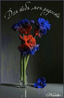 tmp 1для тебя-1248219386