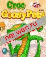 My Pets croc