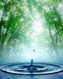 Green nature 128x160