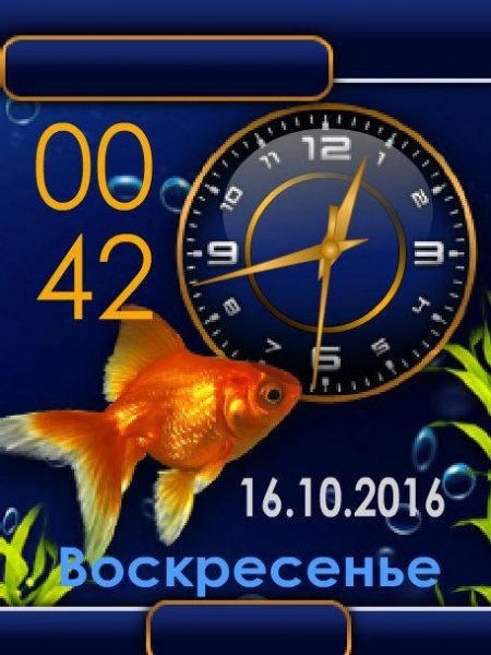 Gold fish (ТиммИ)