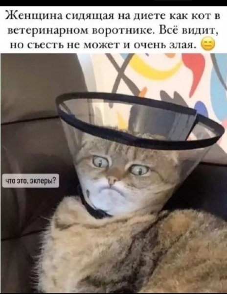 FB IMG 1773684042377