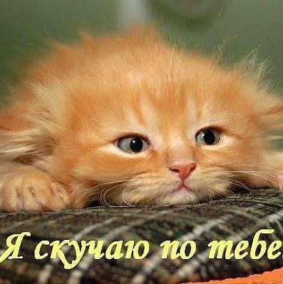 I miss u