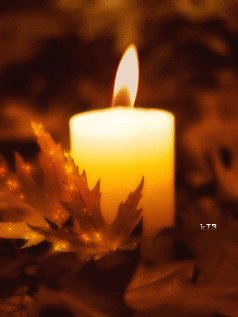 Осенняя (k13)