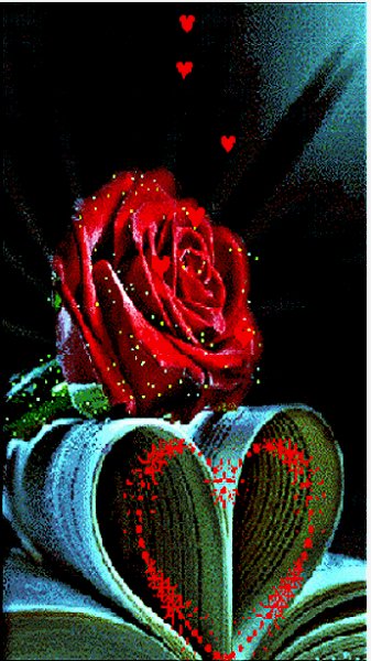 C91188a5d8c1592b636d33dcf45724ea