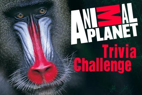 Animal Planet Trivia Challenge