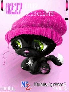 Cute cat