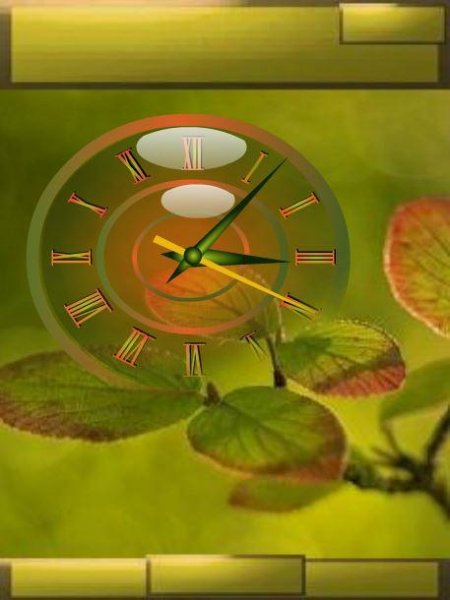 Leaf.... (baby)