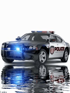 Police car sport