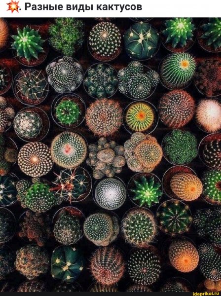 85a7bbb6b658d32032eb9b127791ca735173f8af2fa8c03746e8 1