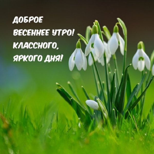 Доброе весеннее утро!...