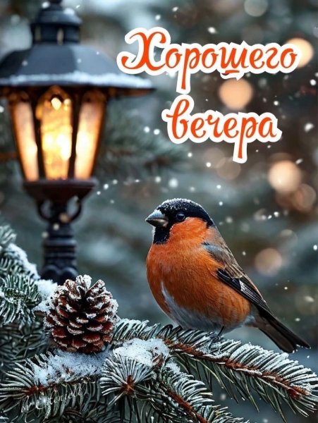 IMG 20251216 221212 678