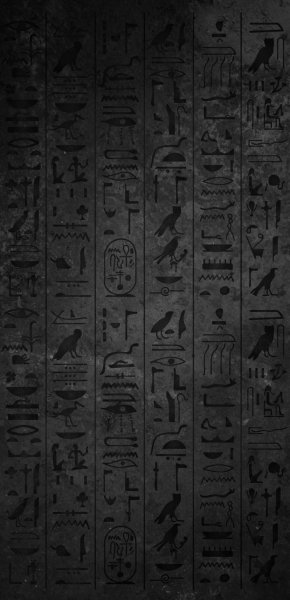 file_91560281