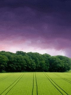 foto240x320-ru-space-screensavers-0011