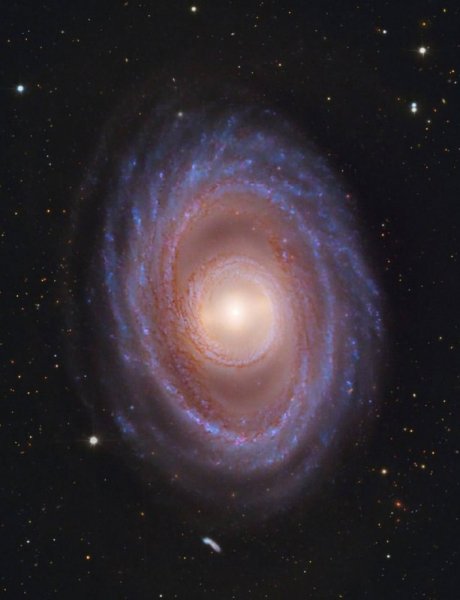 NGC 1398