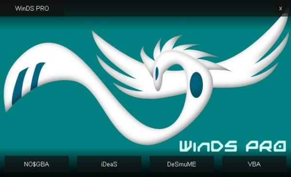 WinDS PRO 2013