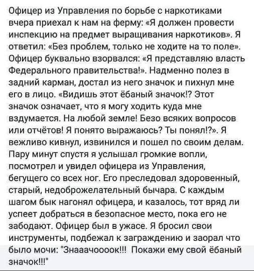 Давно так не смеялся