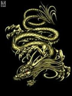 Gold dragon дракон
