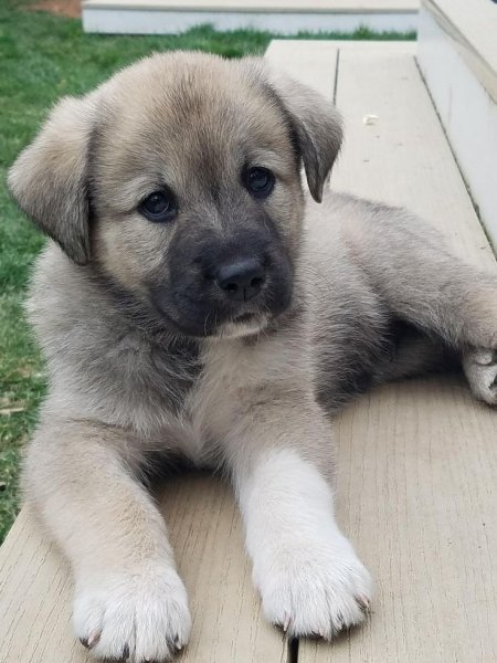 8HD3YGFCUHVOKNNKLTP0