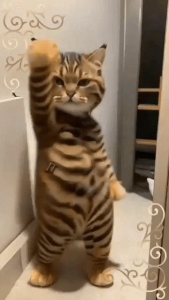 С Добрым Утречком!