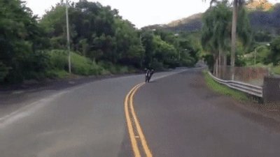 tumblr o0xpxsraEr1qzhjh2o1 400