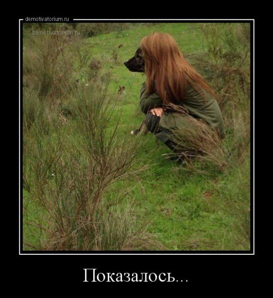 показалось