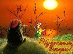 Чудесного вечера