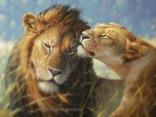 Алекс Мэй. Секс. Практический опыт (для мужчин)