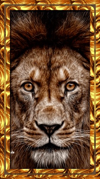 15-31-15-c0517b122db5e5ce8100835779c06a70