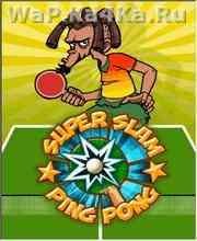 Super Slam Ping Pong