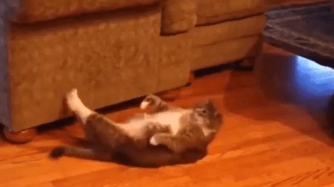 До Нового года есть ещё немного времени
