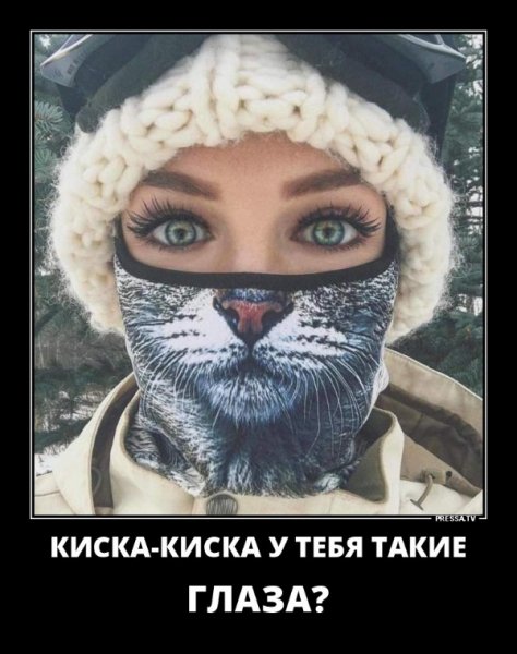 file_77400125