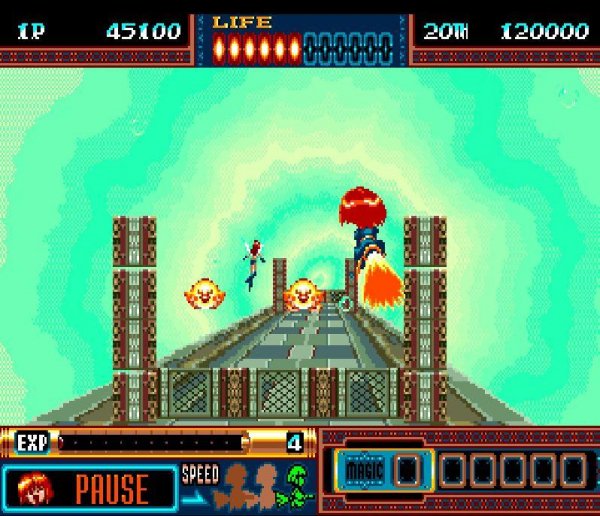 Panorama Cotton (БЕССМЕРТИЕ)