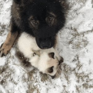 bfc7eb42119cd2b85758219ae2b6f6fcb621e2da272b345cedbee834c7c74