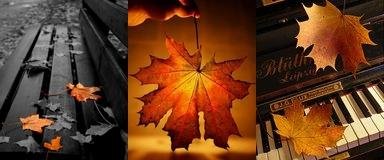 autumn2